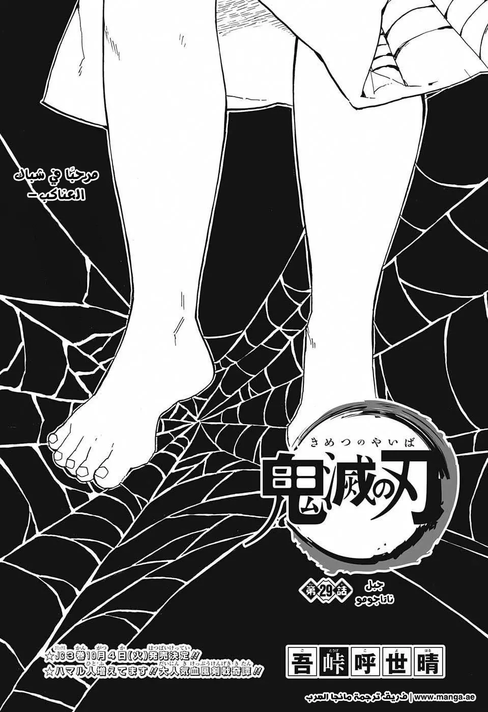 Kimetsu no Yaiba الفصل 29 — صفحة 1