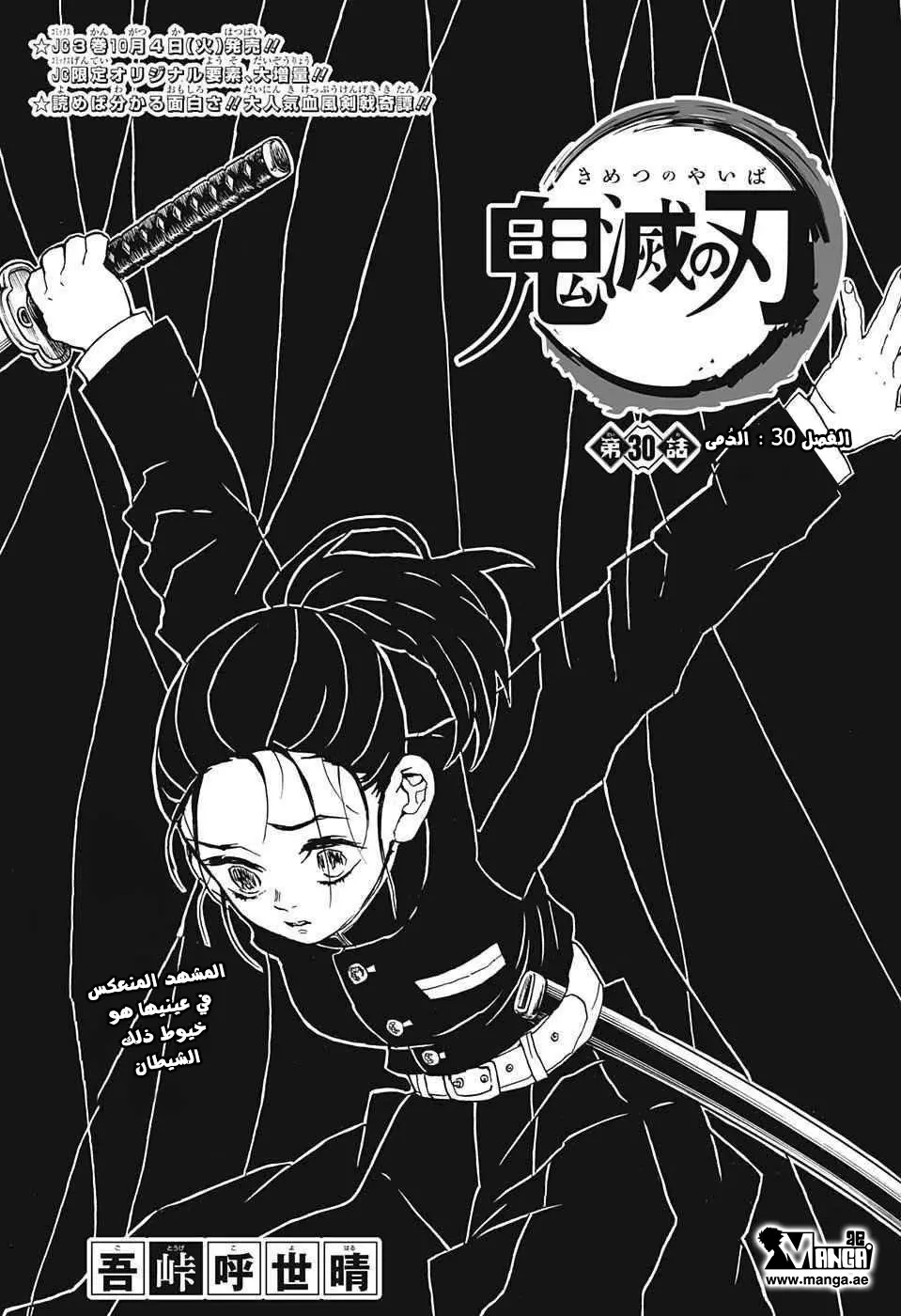 Kimetsu no Yaiba الفصل 30 — صفحة 1