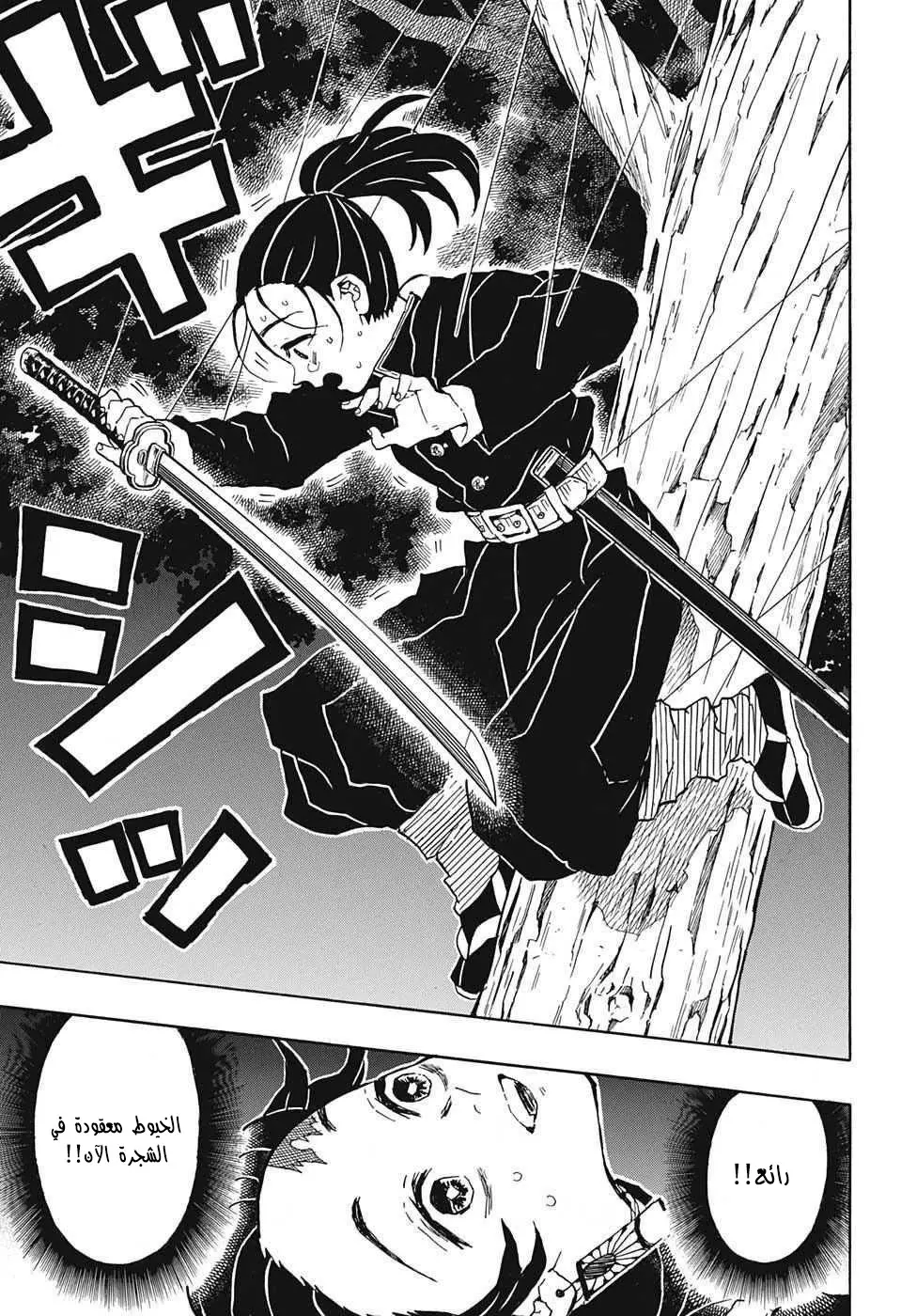 Kimetsu no Yaiba الفصل 30 — صفحة 17