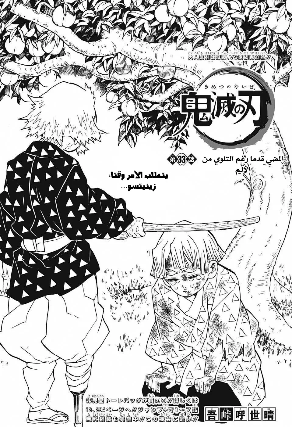 Kimetsu no Yaiba الفصل 33 — صفحة 1