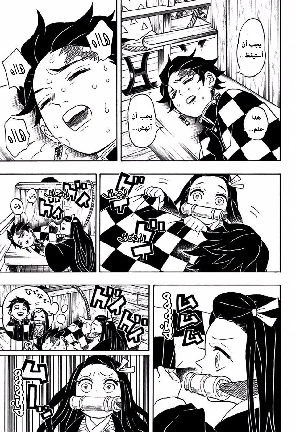 Kimetsu no Yaiba الفصل 56 — صفحة 17