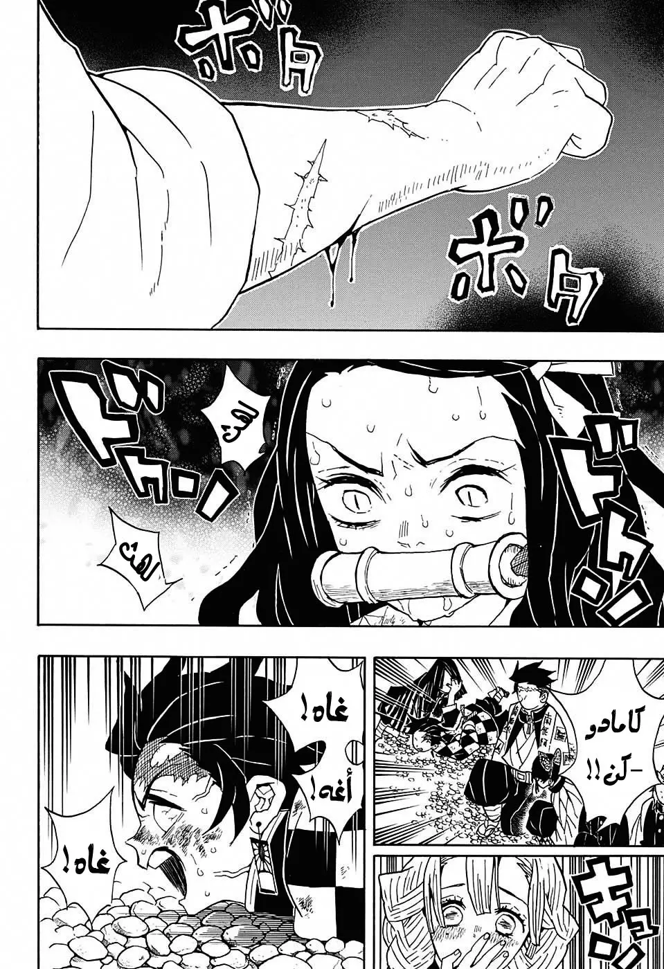 Kimetsu no Yaiba الفصل 47 — صفحة 8