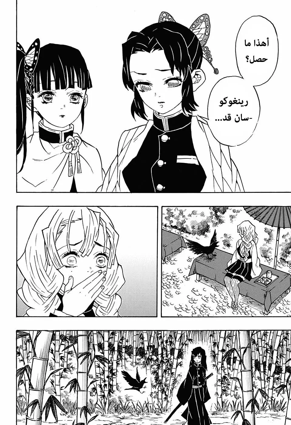 Kimetsu no Yaiba الفصل 66 — صفحة 18