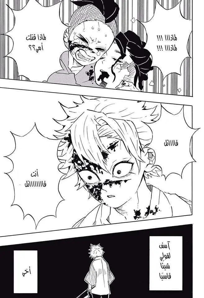 Kimetsu no Yaiba الفصل 115 — صفحة 17