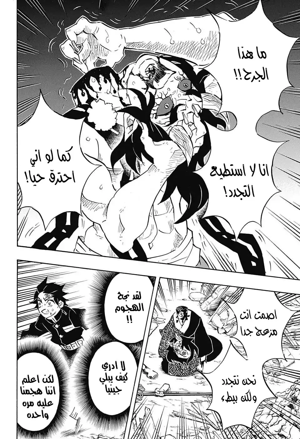 Kimetsu no Yaiba الفصل 113 — صفحة 5