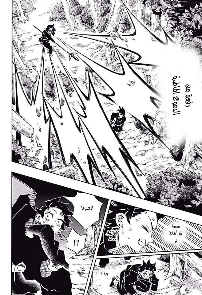 Kimetsu no Yaiba الفصل 115 — صفحة 8