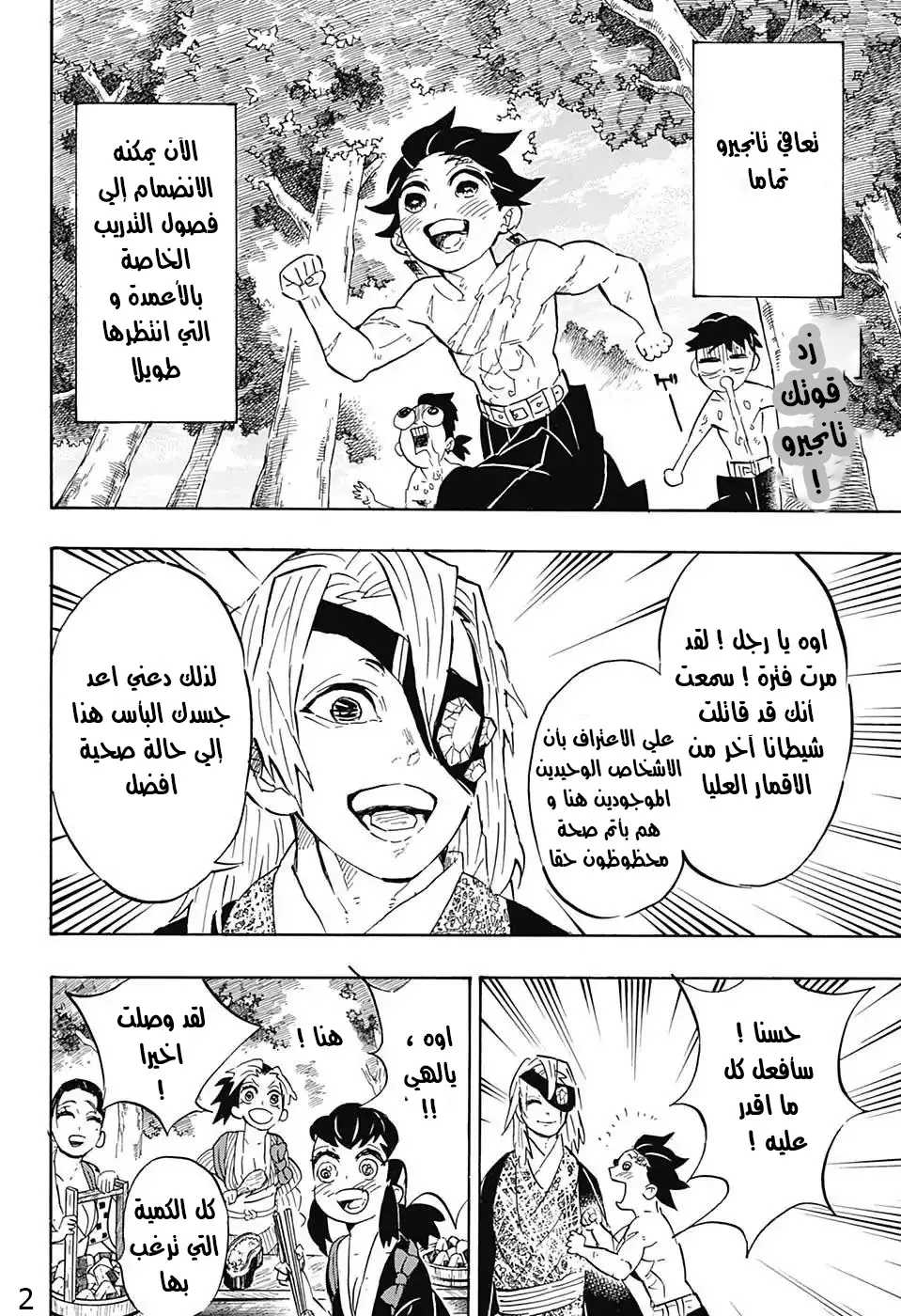 Kimetsu no Yaiba الفصل 132 — صفحة 12
