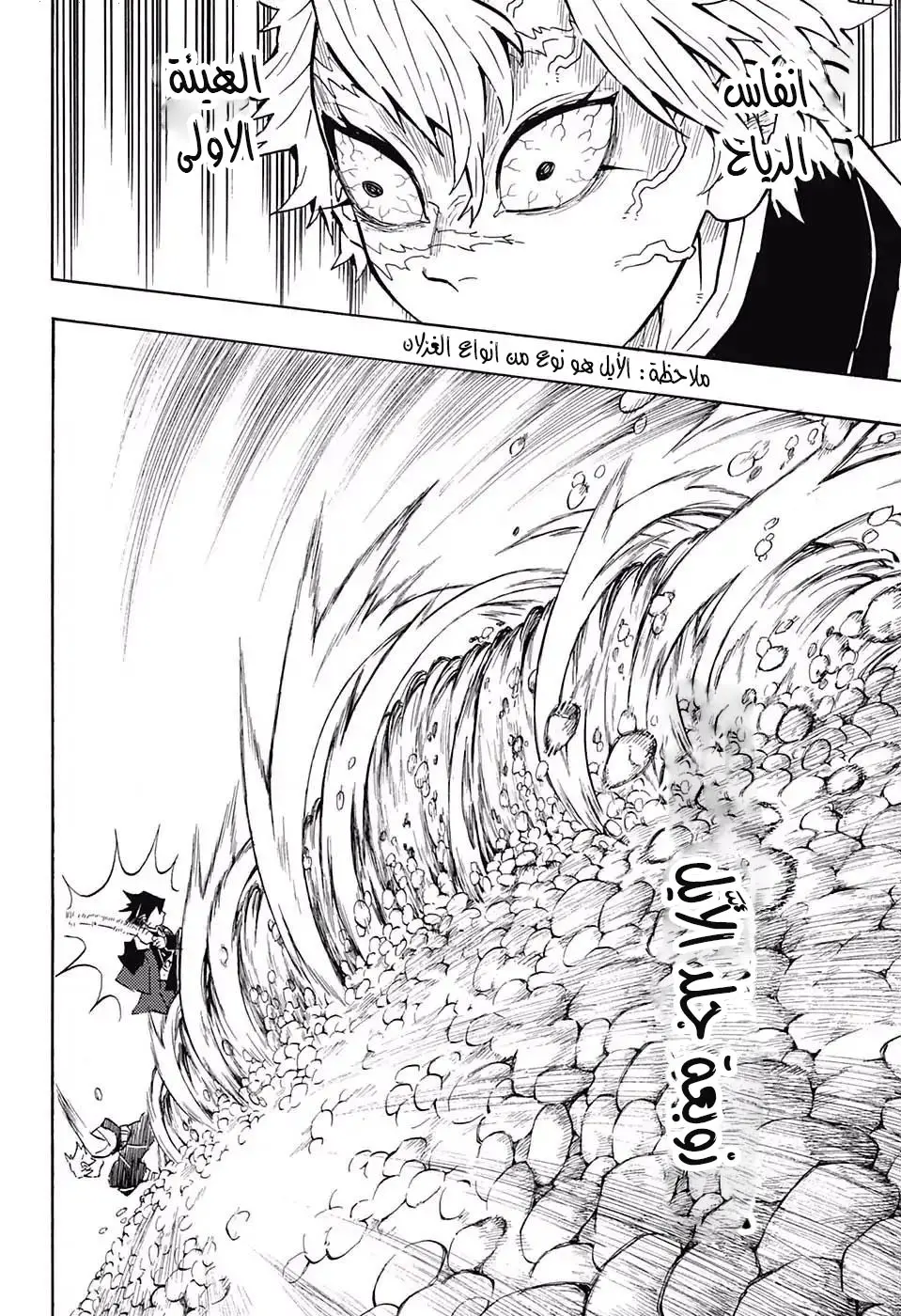 Kimetsu no Yaiba الفصل 136 — صفحة 18