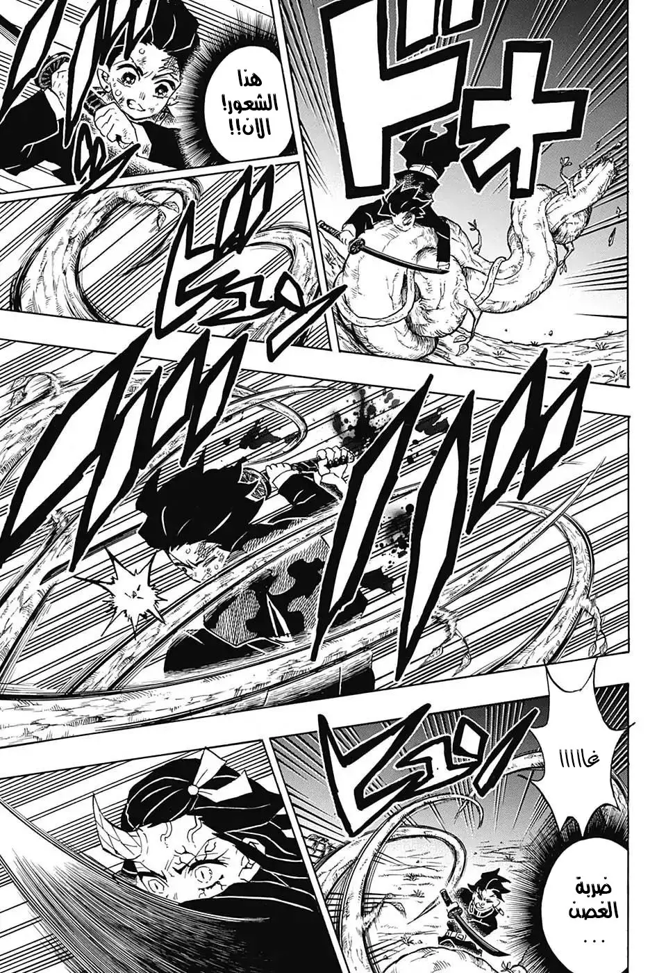 Kimetsu no Yaiba الفصل 124 — صفحة 5