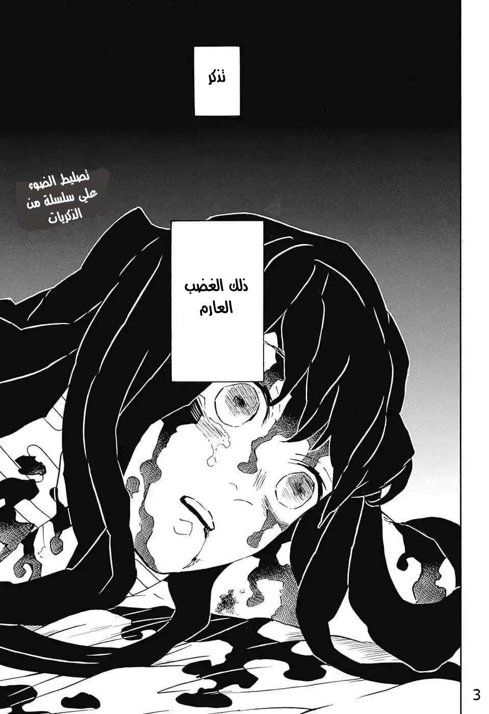 Kimetsu no Yaiba الفصل 121 — صفحة 13