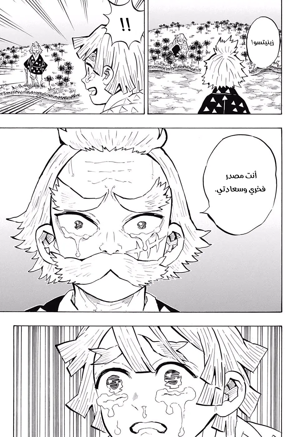 Kimetsu no Yaiba الفصل 146 — صفحة 17