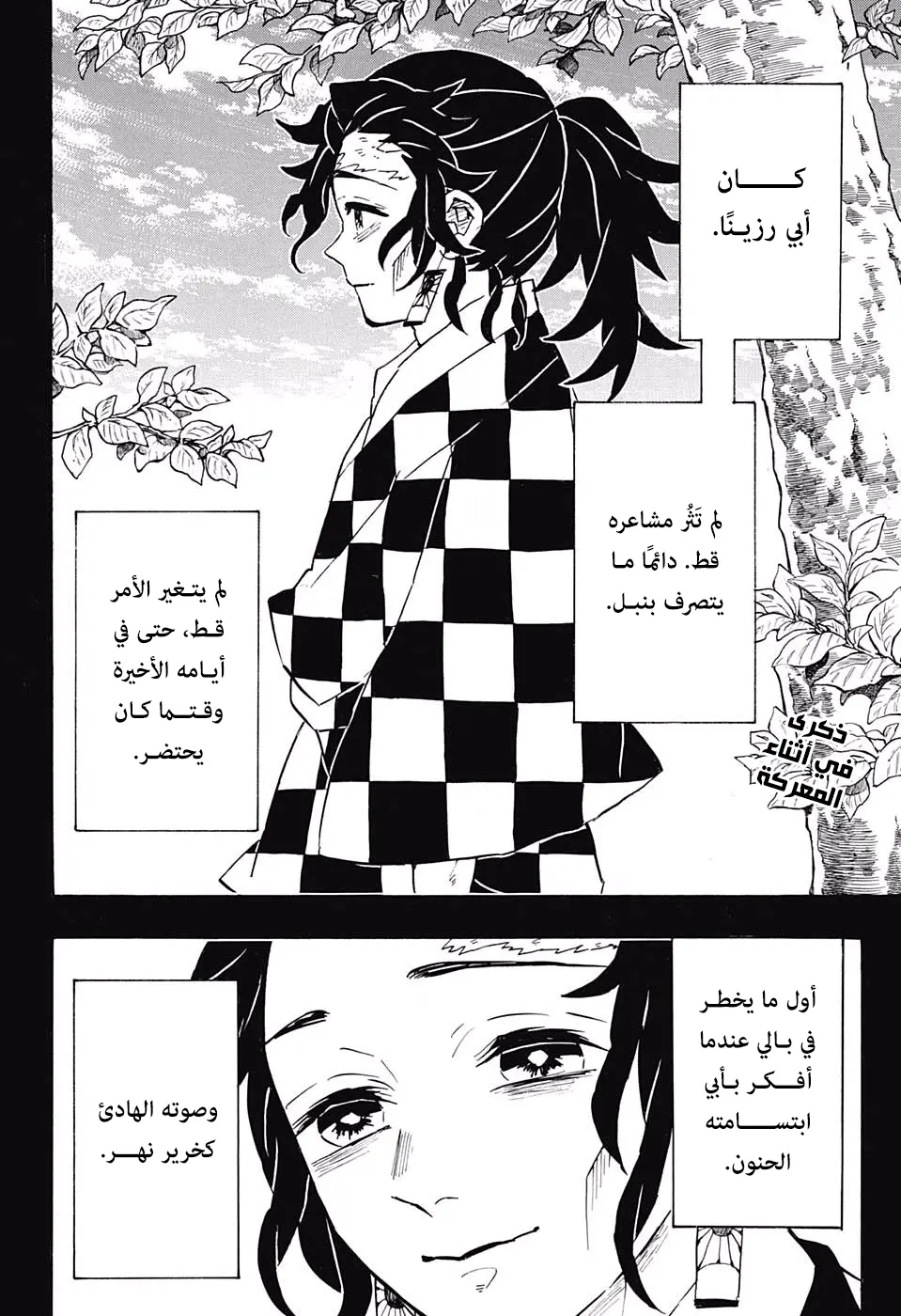 Kimetsu no Yaiba الفصل 151 — صفحة 12