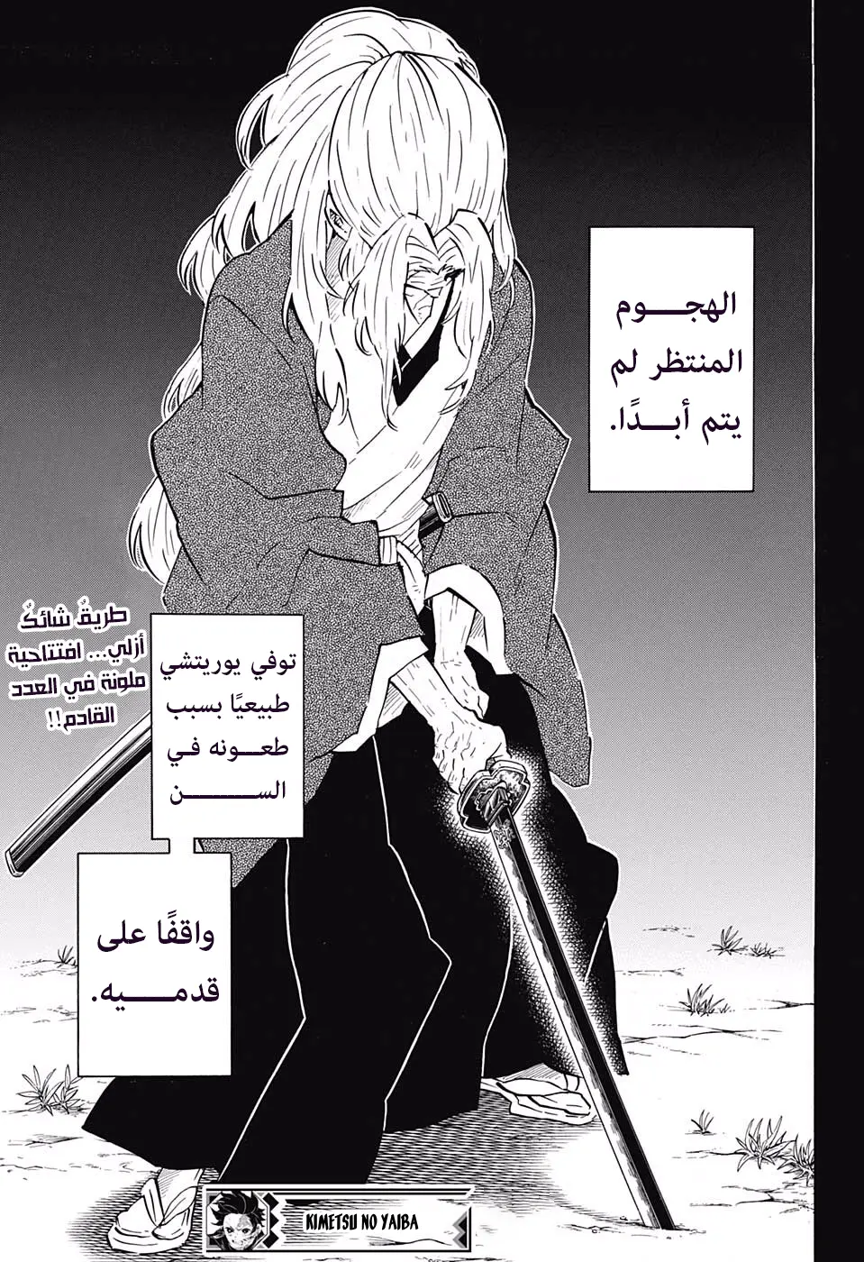 Kimetsu no Yaiba الفصل 174 — صفحة 11