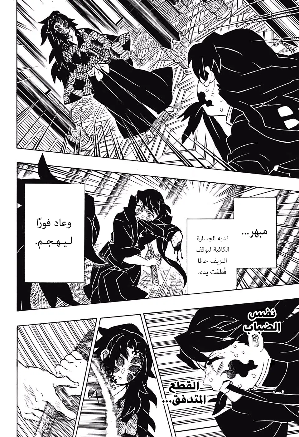 Kimetsu no Yaiba الفصل 165 — صفحة 9
