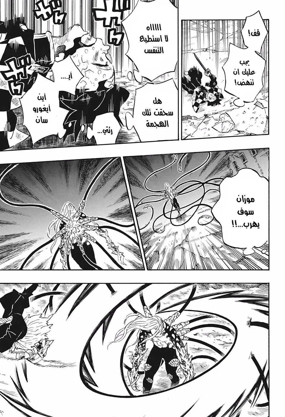 Kimetsu no Yaiba الفصل 197 — صفحة 17