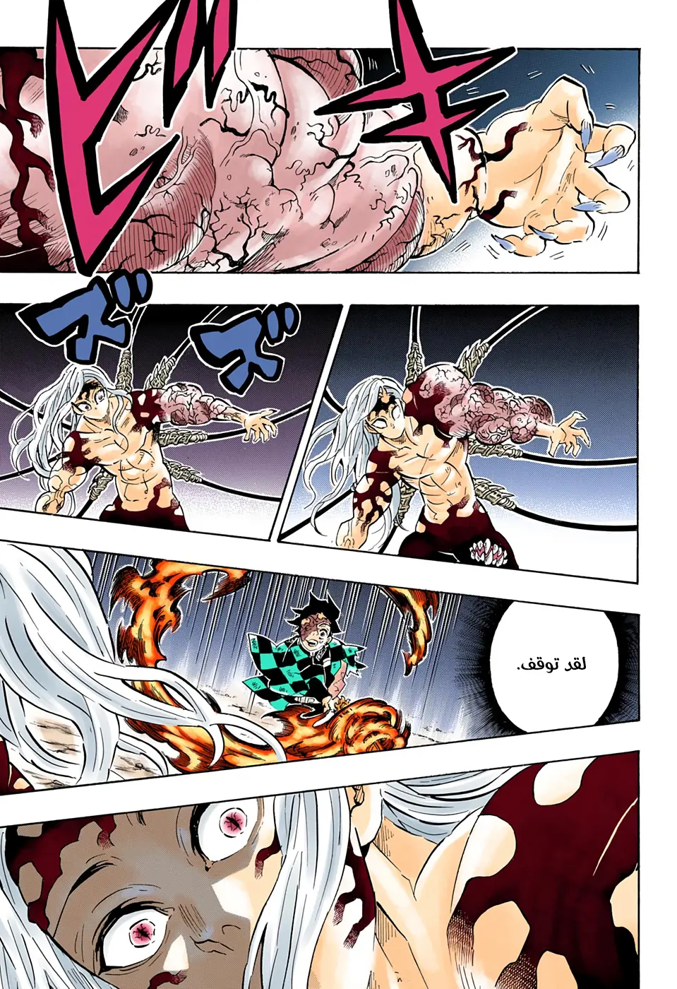 Kimetsu no Yaiba الفصل 196 — صفحة 9