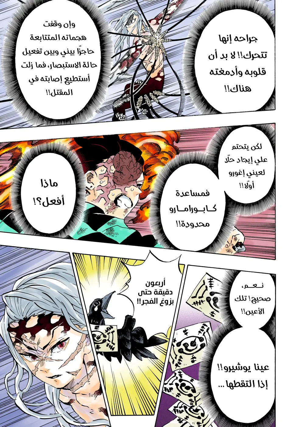 Kimetsu no Yaiba الفصل 195 — صفحة 13