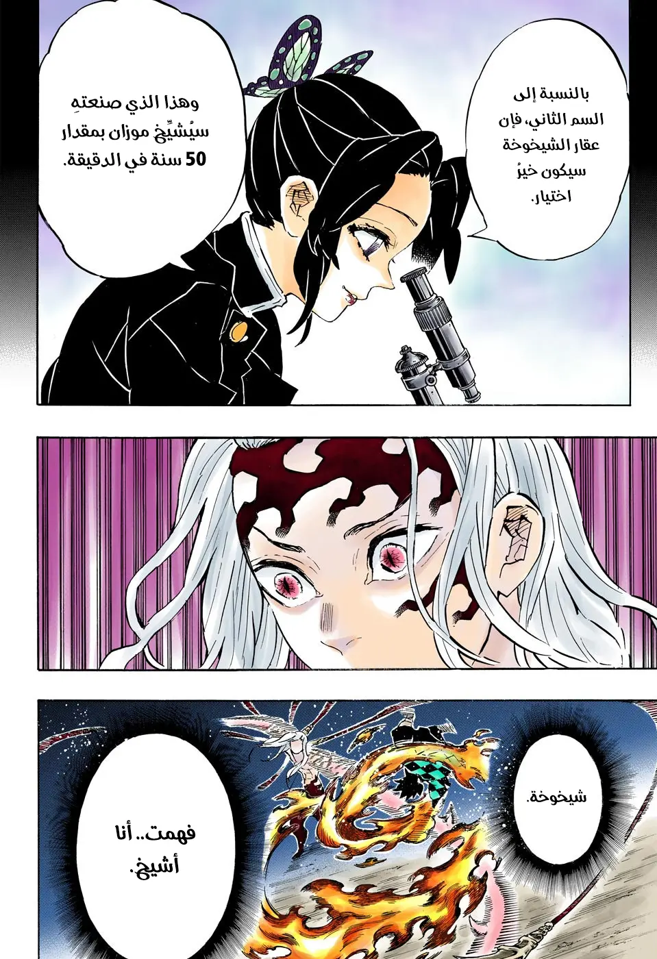 Kimetsu no Yaiba الفصل 193 — صفحة 8
