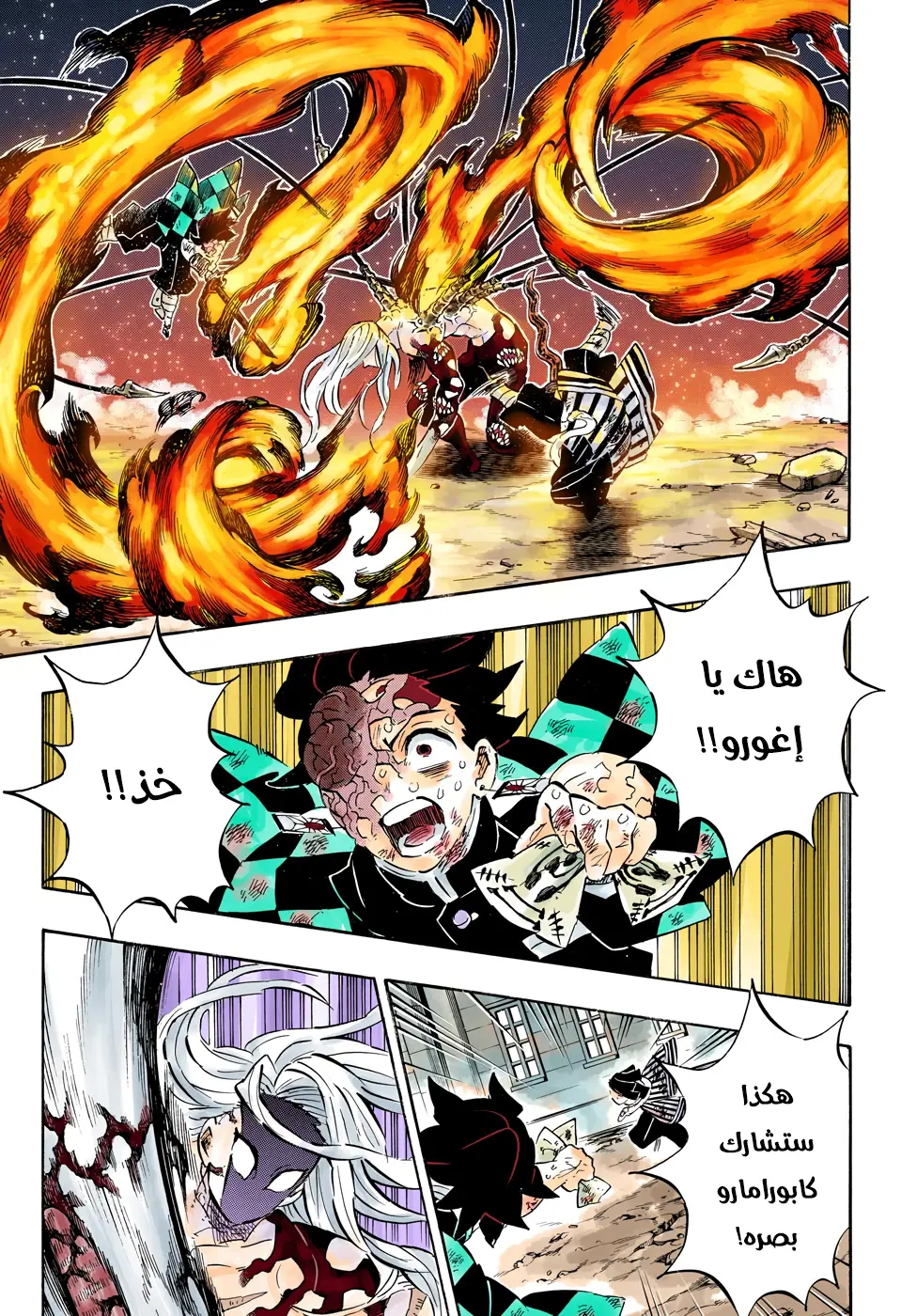 Kimetsu no Yaiba الفصل 195 — صفحة 4