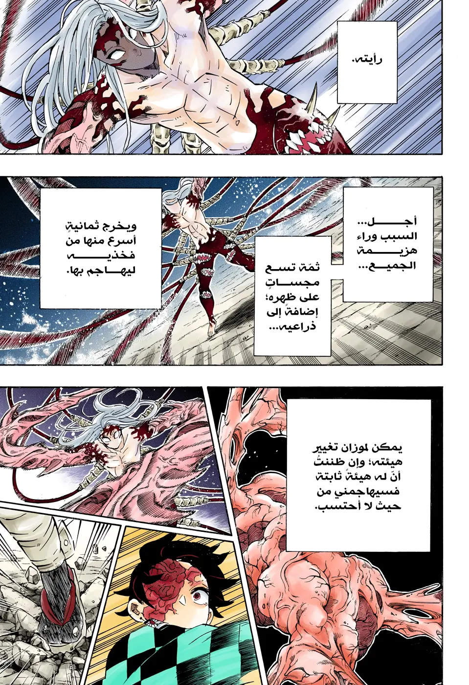 Kimetsu no Yaiba الفصل 192 — صفحة 9