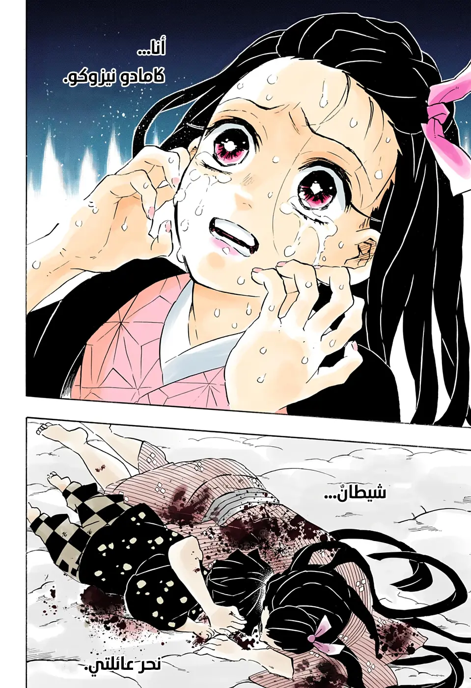 Kimetsu no Yaiba الفصل 196 — صفحة 4