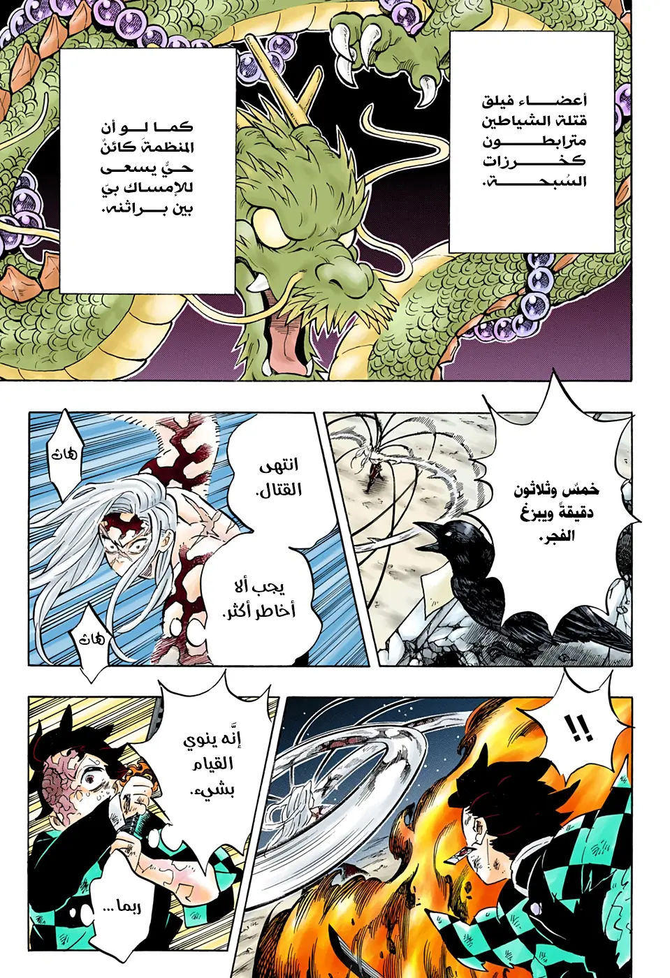 Kimetsu no Yaiba الفصل 196 — صفحة 7