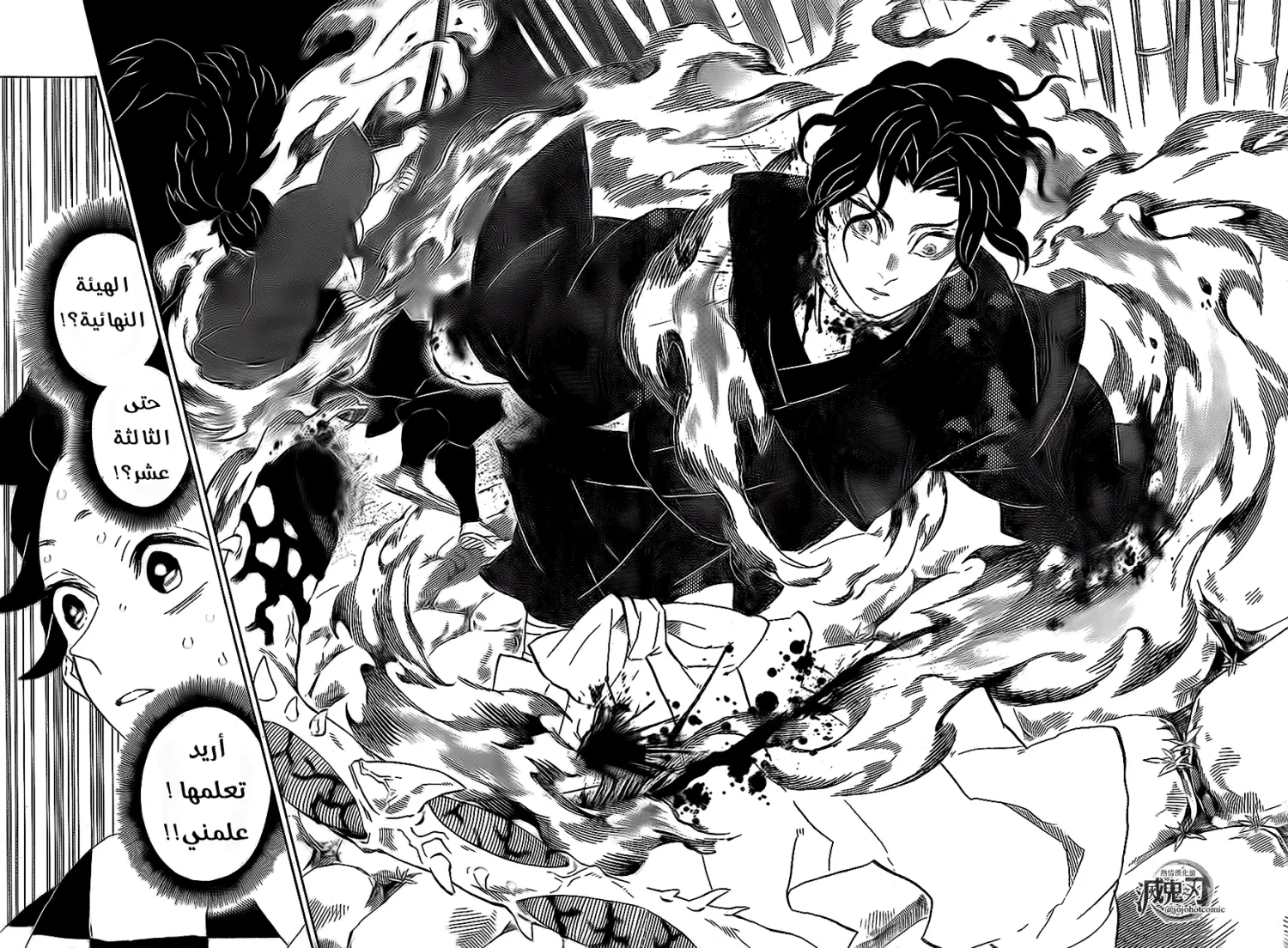 Kimetsu no Yaiba الفصل 187 — صفحة 13