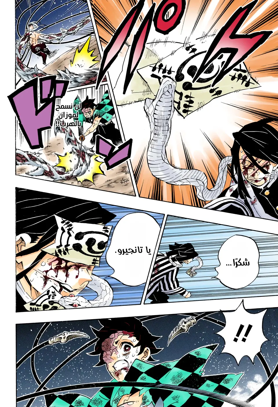 Kimetsu no Yaiba الفصل 195 — صفحة 7
