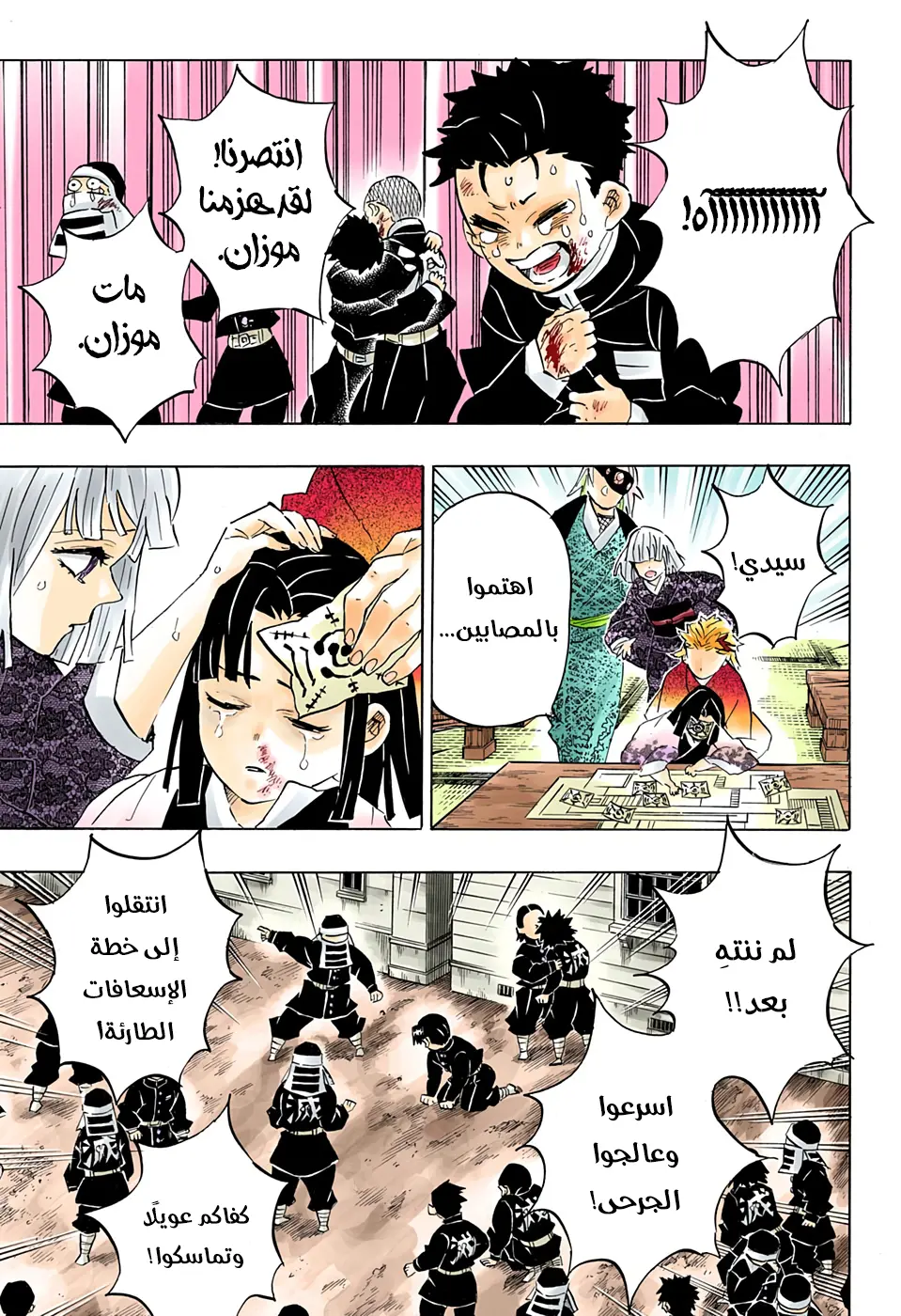 Kimetsu no Yaiba الفصل 200 — صفحة 17