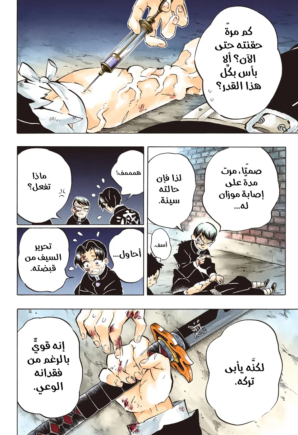 Kimetsu no Yaiba الفصل 191 — صفحة 12