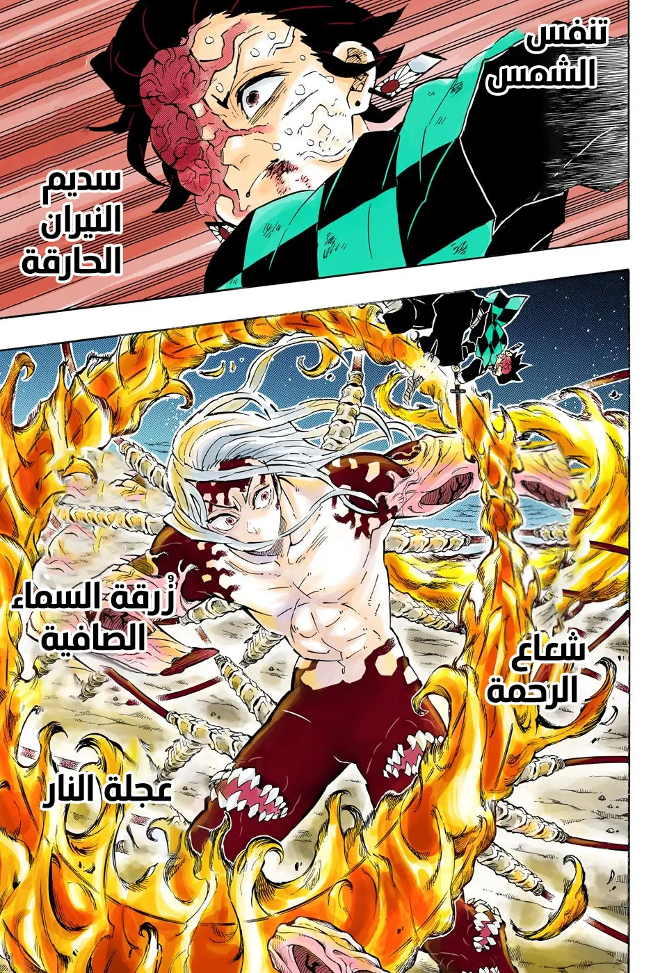 Kimetsu no Yaiba الفصل 193 — صفحة 11