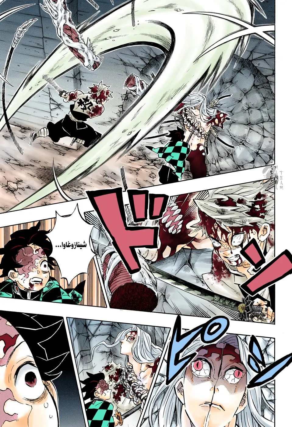 Kimetsu no Yaiba الفصل 198 — صفحة 9