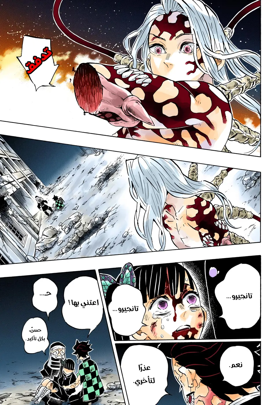 Kimetsu no Yaiba الفصل 191 — صفحة 11