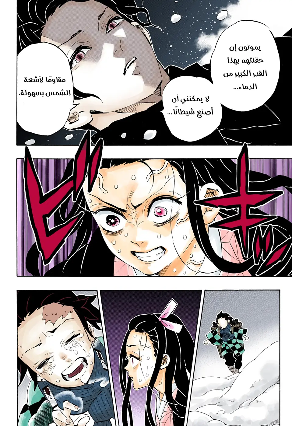 Kimetsu no Yaiba الفصل 196 — صفحة 14