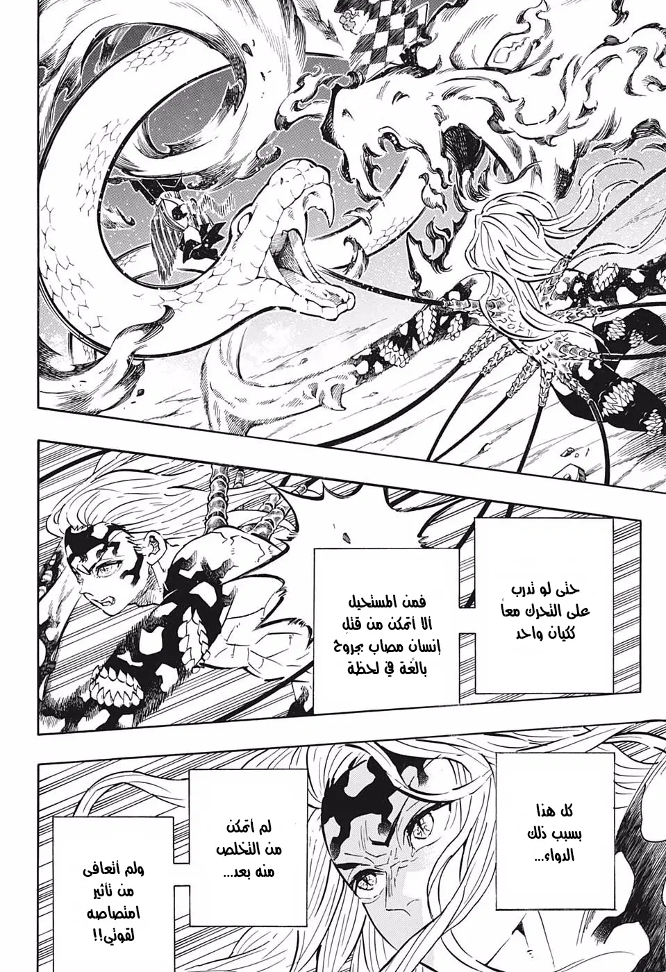 Kimetsu no Yaiba الفصل 194 — صفحة 8