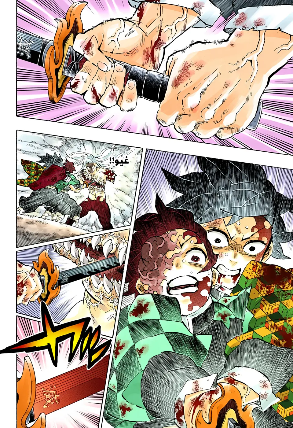 Kimetsu no Yaiba الفصل 199 — صفحة 14