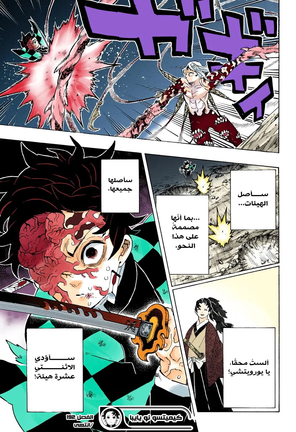 Kimetsu no Yaiba الفصل 192 — صفحة 11
