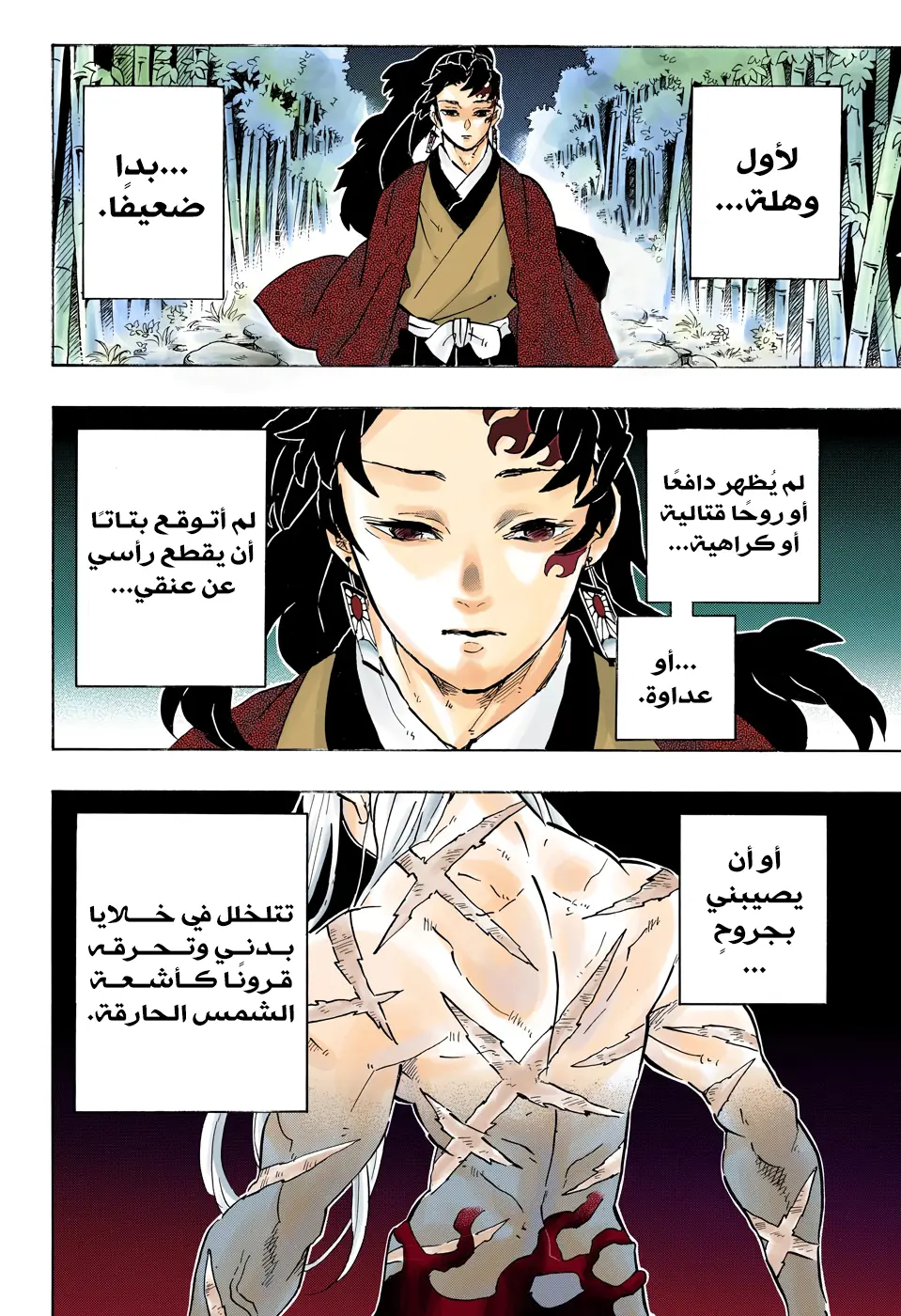 Kimetsu no Yaiba الفصل 195 — صفحة 1