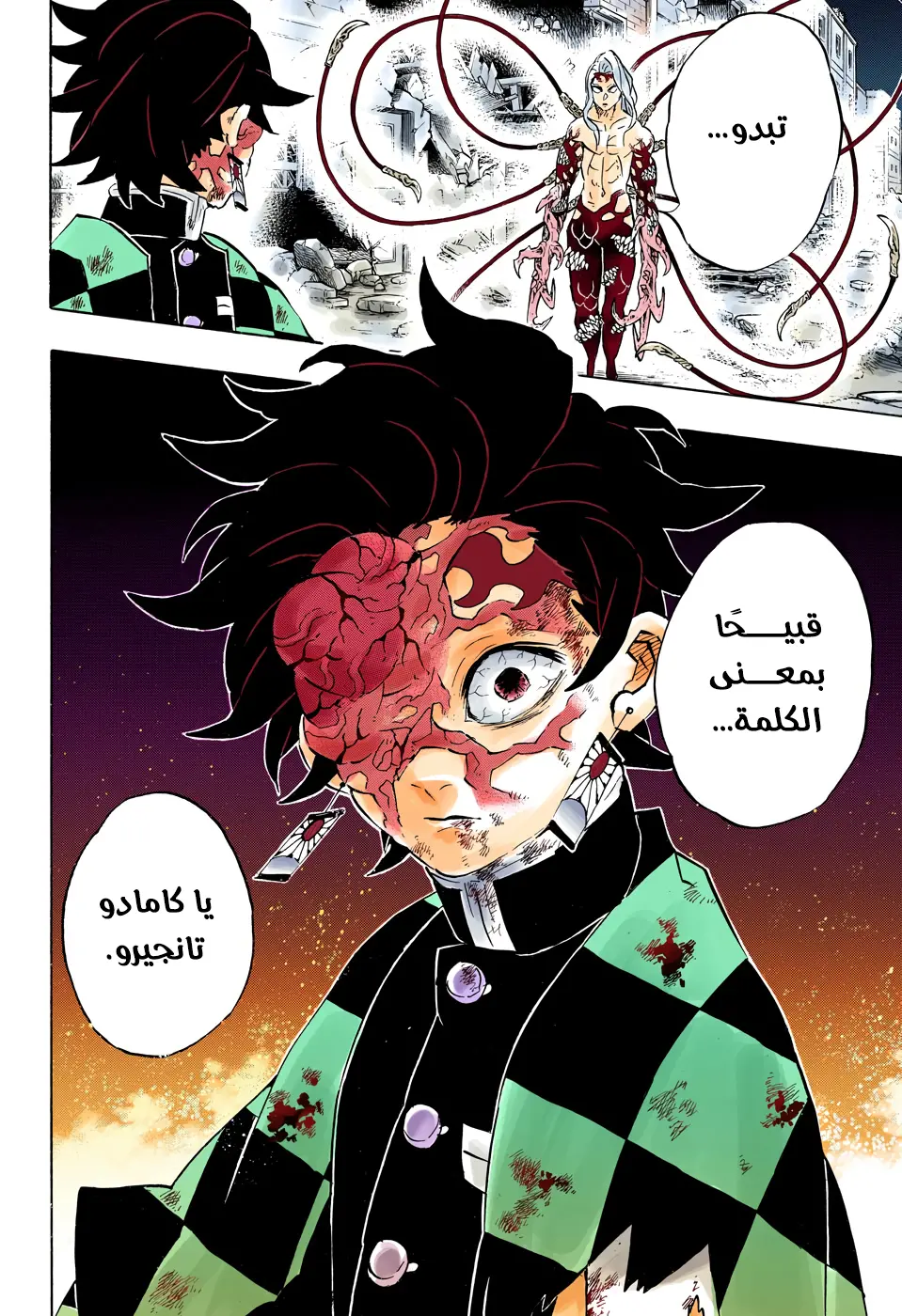 Kimetsu no Yaiba الفصل 191 — صفحة 13