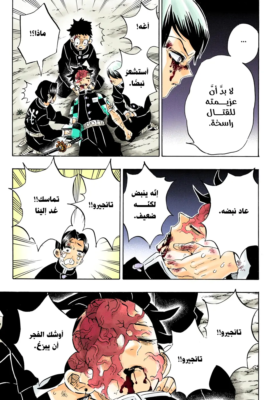 Kimetsu no Yaiba الفصل 191 — صفحة 15