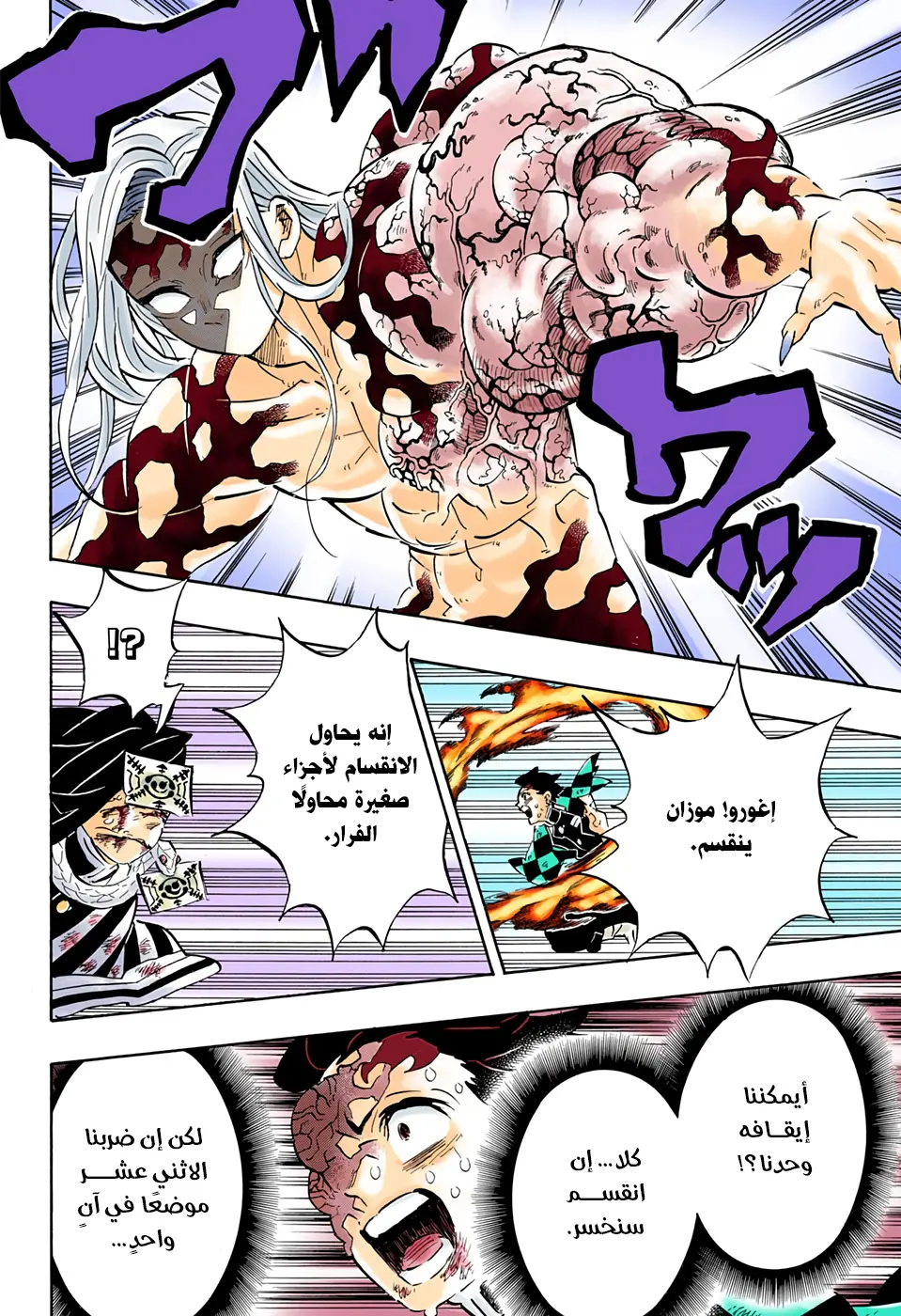 Kimetsu no Yaiba الفصل 196 — صفحة 8