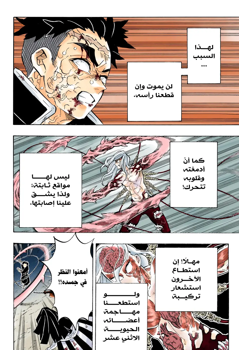 Kimetsu no Yaiba الفصل 191 — صفحة 2