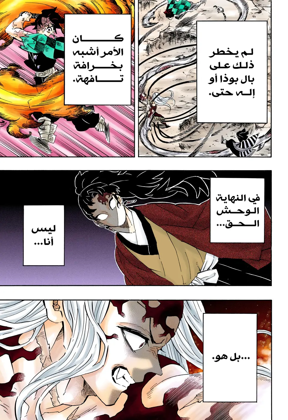 Kimetsu no Yaiba الفصل 195 — صفحة 11
