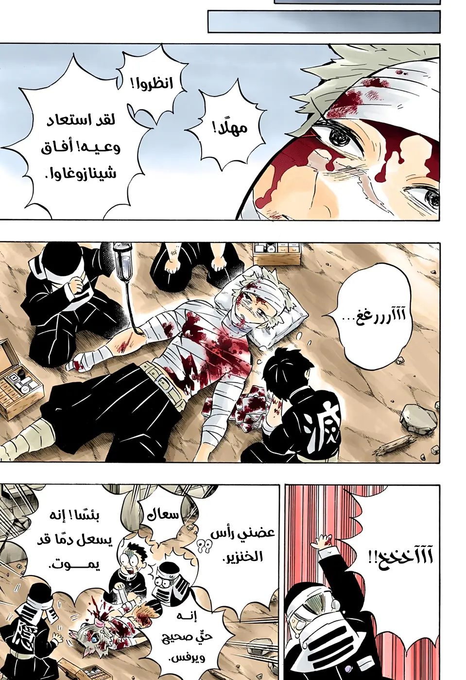 Kimetsu no Yaiba الفصل 200 — صفحة 9