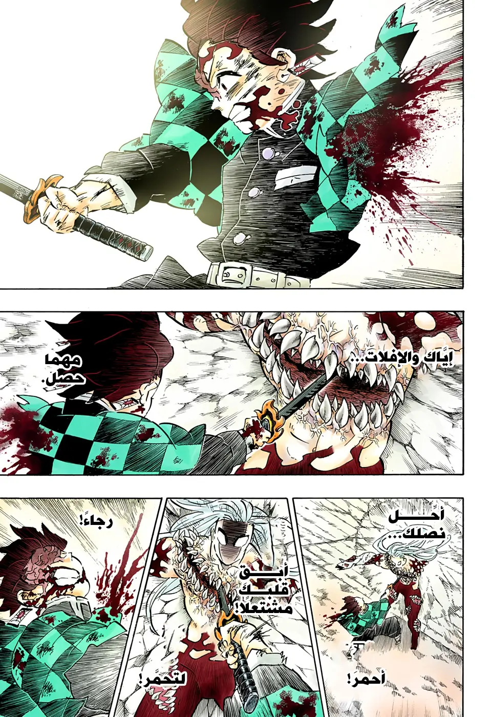 Kimetsu no Yaiba الفصل 199 — صفحة 13
