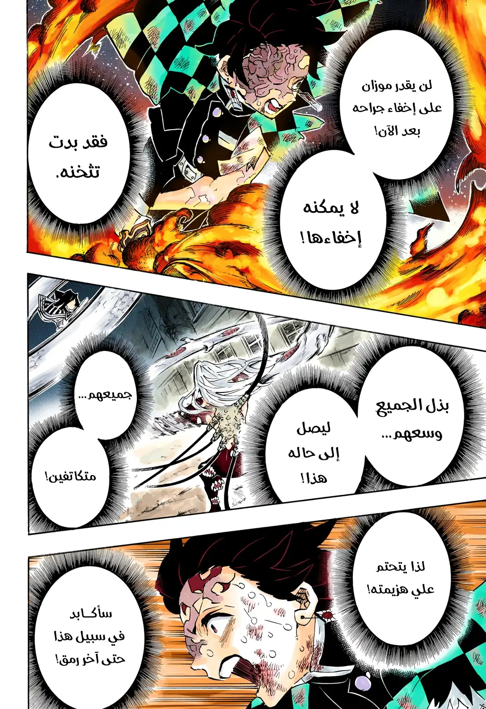 Kimetsu no Yaiba الفصل 195 — صفحة 12