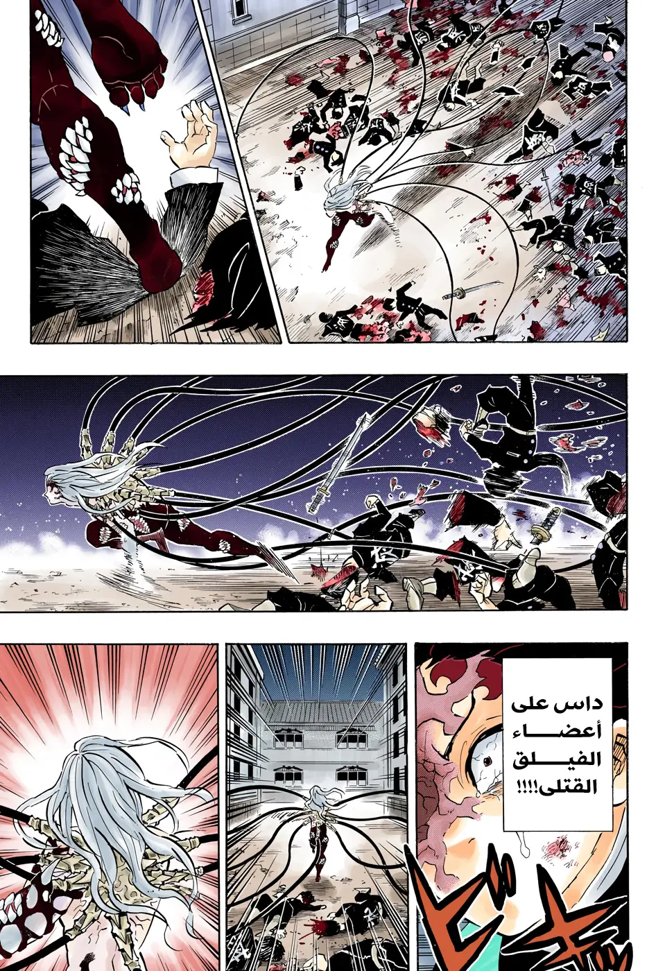 Kimetsu no Yaiba الفصل 195 — صفحة 17