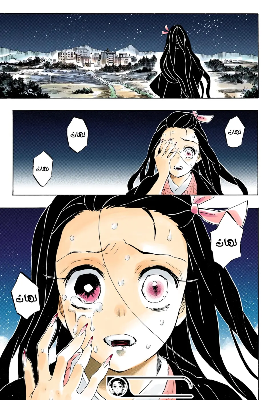 Kimetsu no Yaiba الفصل 195 — صفحة 10