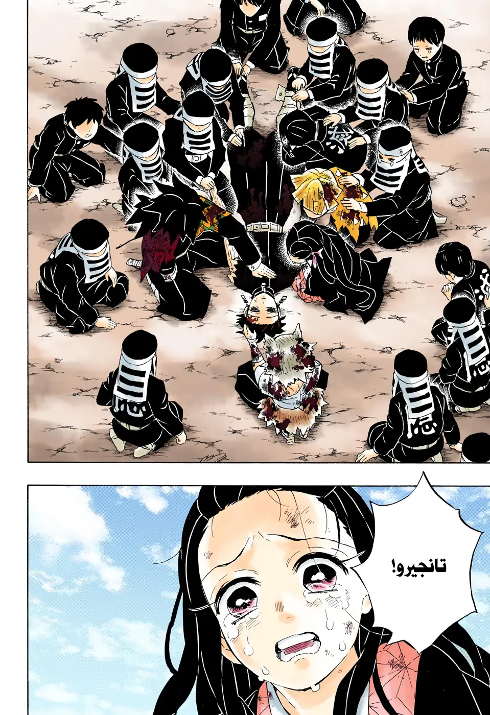 Kimetsu no Yaiba الفصل 203 — صفحة 8