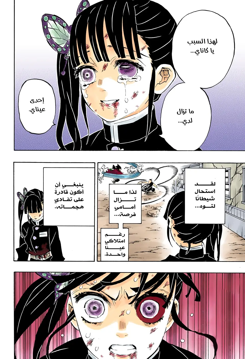 Kimetsu no Yaiba الفصل 202 — صفحة 8